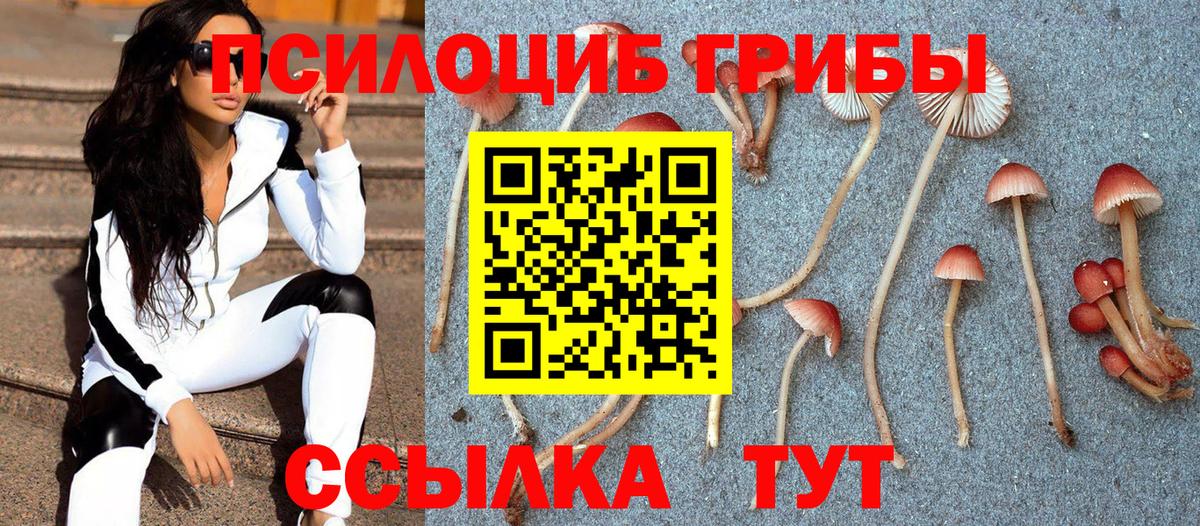 Псилоцибиновые грибы прущие грибы  Псилоцибиновые грибы Psilocybe  Вход с VPN  Альметьевск 